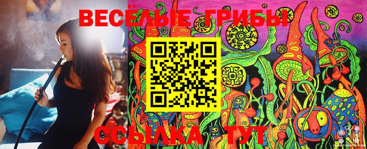 Подольск  Галлюциногенные грибы MAGIC MUSHROOMS  Вход с VPN  Галлюциногенные грибы Psilocybine cubensis 